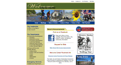 Desktop Screenshot of haileycityhall.org